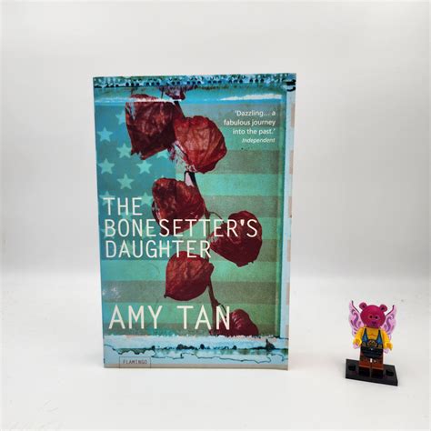 The Bonesetter's Daughter - Amy Tan – Books For Less