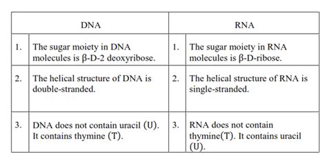 NCERT Solutions for Class 12 Chemistry Chapter 14 Biomolecules PDF - eSaral