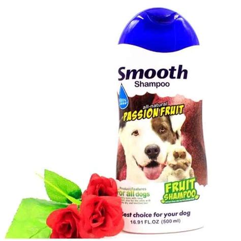 BBN Passion Fruit Smooth Shampoo 500ml | Buy Online at ₹400