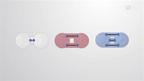 Image result for Pyramidal Covalent Bond