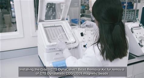 Cell Therapy Process 的图像结果