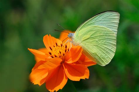 biological 的图像结果