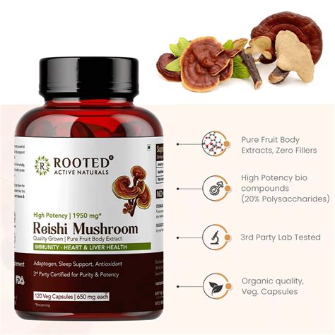 Buy ROOTED ACTIVES - REISHI MUSHROOM EXTRACT 1950MG* - PURE FRUIT BODY ...