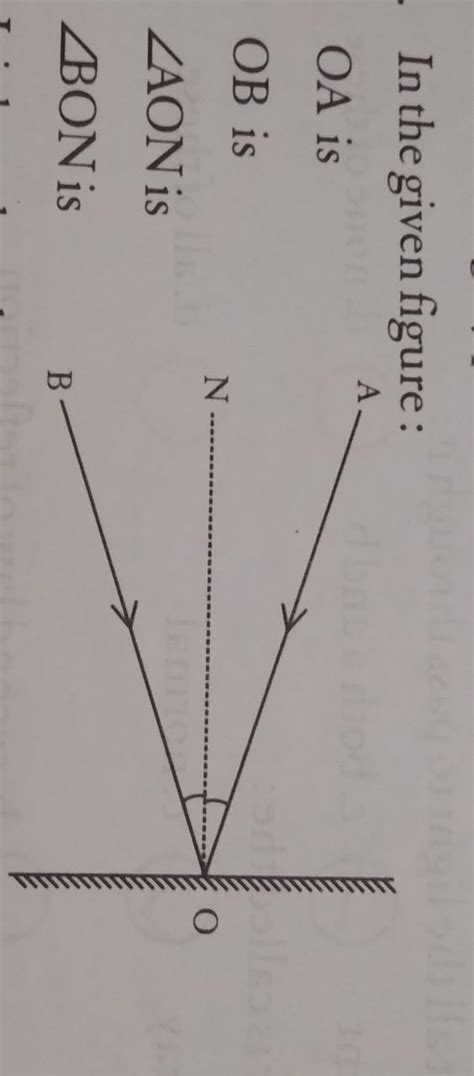 Please answer quickly.. - Brainly.in