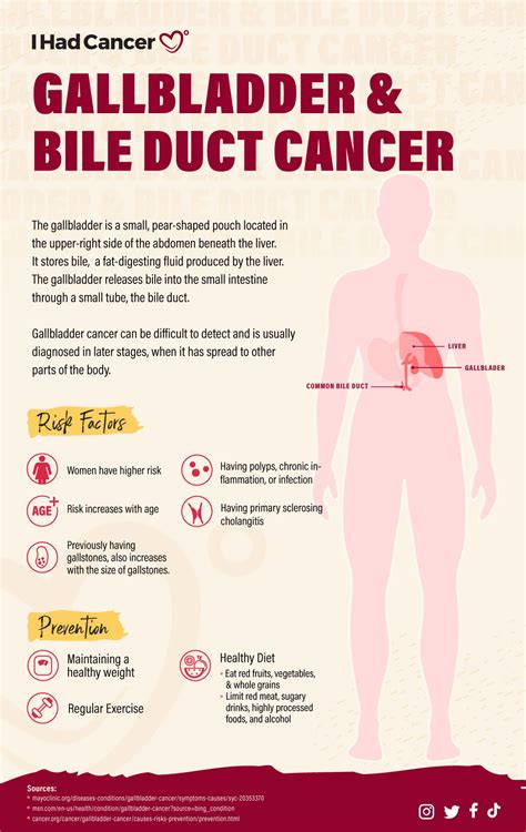 What Causes Bile Duct Cancer Symptoms