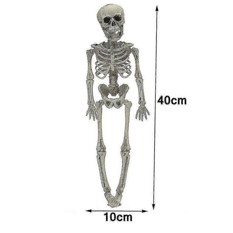 Image result for Alien Skeleton Prop