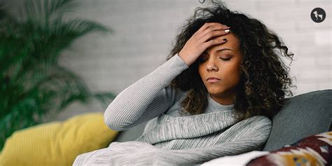 Understanding Rabies 101 - Dog Bite Illness Symptoms, Treatment & Prev