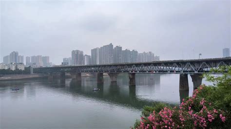 衡阳市人民政府门户网站-省水利厅点名表扬！衡阳打了场漂亮的水葫芦“歼灭战”