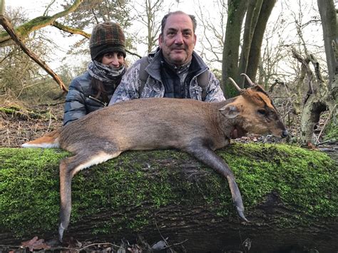 Caza en Inglaterra Caza De Muntjac - Cwd - de Onís Safaris