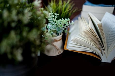 Image result for Book Report Introduction Examples
