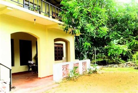 6 Top Hostels In Dambulla For An Affordable Stay In Sri Lanka