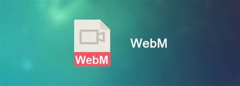 Image result for WebM File Vids