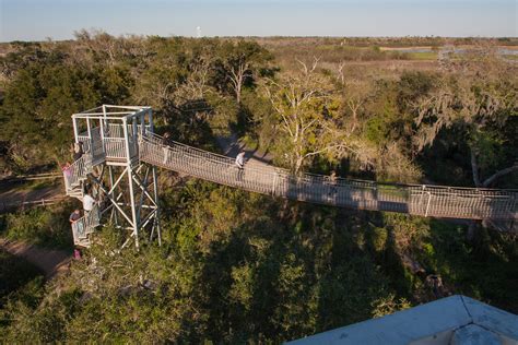 Elevation of S 10th St, McAllen, TX, USA - Topographic Map - Altitude Map