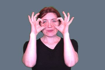 Descriptive Classifiers Examples 的图像结果