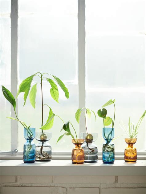 Buy Pots & Planters Online in India - IKEA