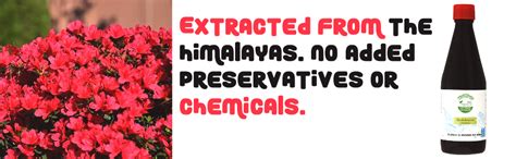 Arena Organica Burans Flower Juice Rhododendron Flower Squash Juice ...