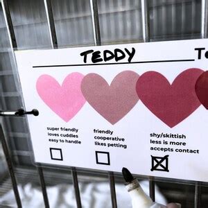 Vet Tech Sign 的图像结果