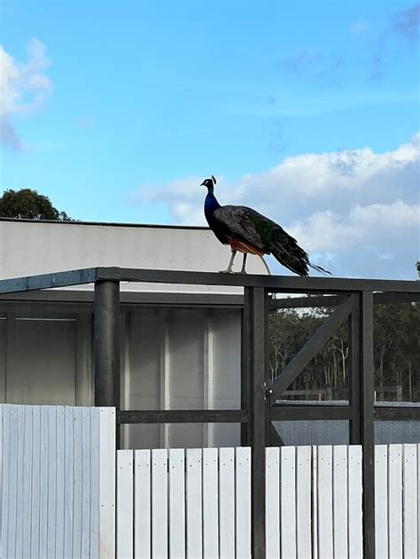 COOKTOWN CAMPOUT - Campground Reviews & Photos - Tripadvisor