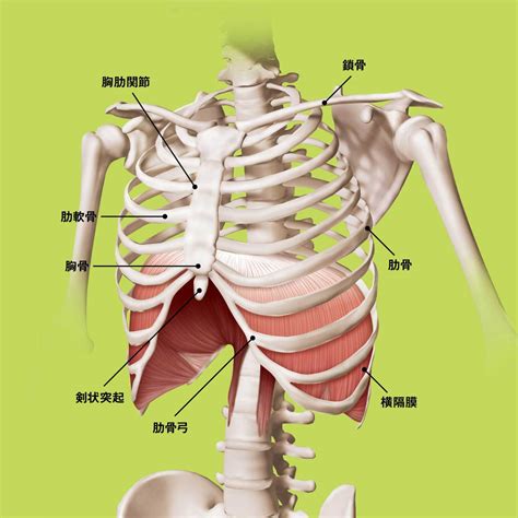 Image result for Structures of Pattern