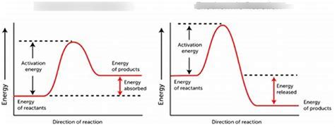 Biochemical 的图像结果