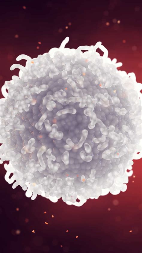 10 best superfoods to increase white blood cell counts