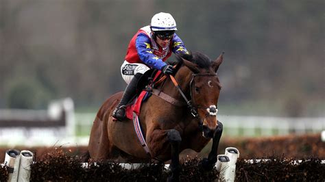 Newcastle's Fighting Fifth Hurdle: Love Envoi given green light by ...
