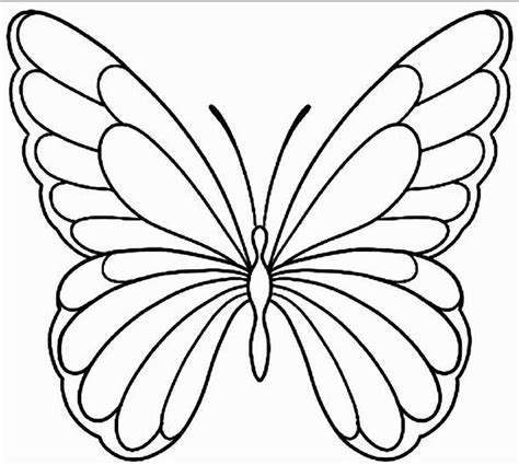 Butterfly Outline with Wings