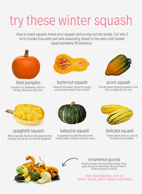 Butternut Squash Nutrition at Linda Redmon blog