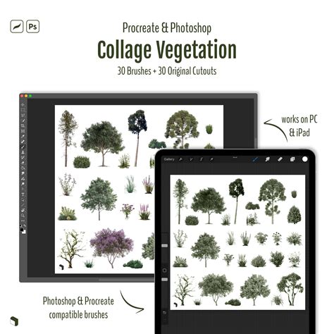 Procreate & Photoshop Collage Vegetation Brushset & Cutouts | Toffu Co