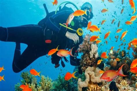 2025 Best Snorkeling in Taba Egypt - with Reviews