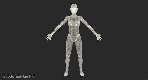3D model Female Muscular System Anatomy | 3D Molier International