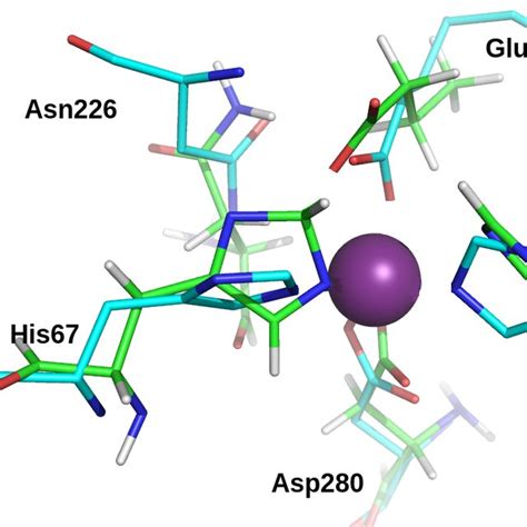 Bildergebnis für active site