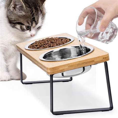 What Is An Elevated Food Bowl at Hugo Trickett blog