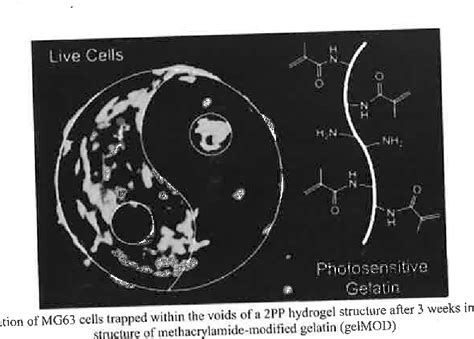 Image result for Two-Photon Polymerization