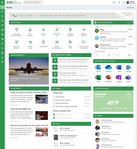 Image result for Intranet Design Examples