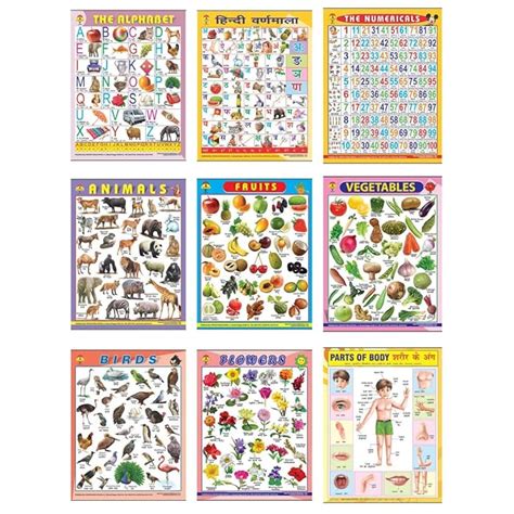 Buy KIDIVO Educational Early Learning Card board Wall Charts for Kids ...