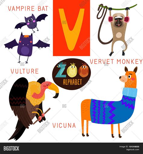 Animals That Start With The Letter V