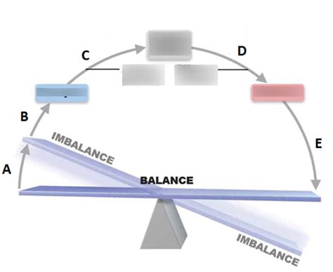 Image result for Negative Feedback Chart
