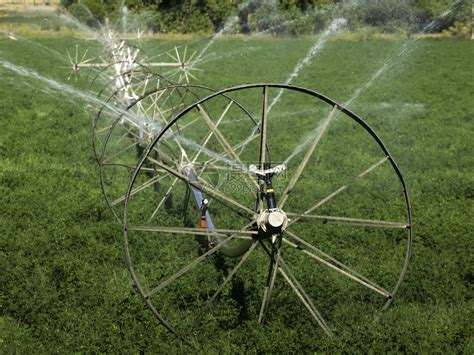 灌溉 的图像结果