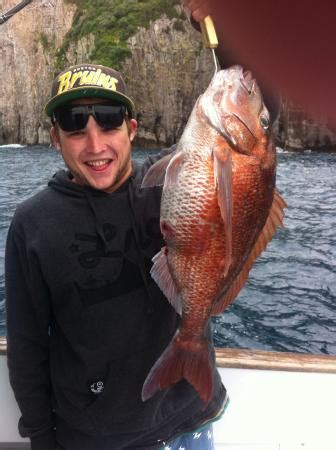 Bream Bay Charters - Day Fishing Charters (Whangarei) - 2022 What to ...