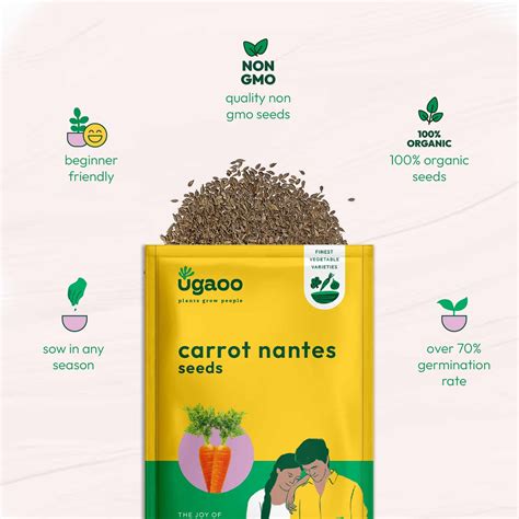 Buy Carrot Nantes Seeds in India | Sweet & Crisp Carrots – Ugaoo