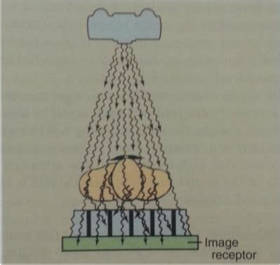 Remove Alignment Grid 的图像结果