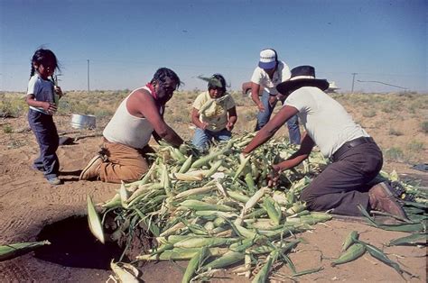 Importance Of Corn In Hopi Agriculture And Culture