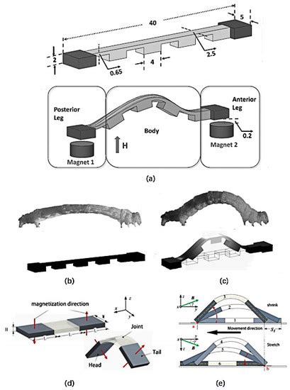 Robot Demi Continuous Work 的图像结果