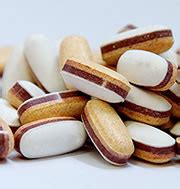 Image result for Tableting Machine Structure