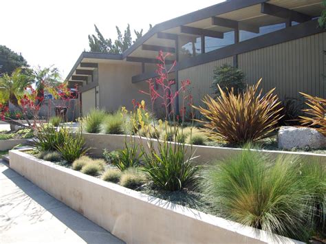 Drought Tolerant Plants