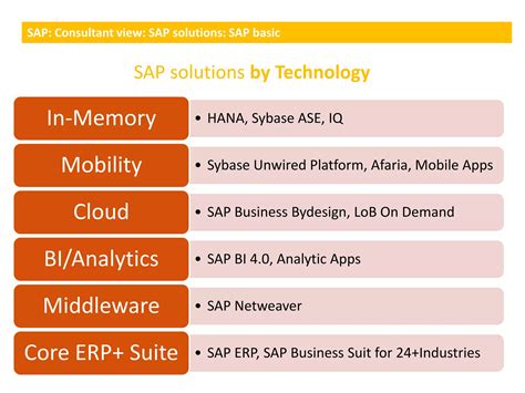 Image result for SAP Overview for Beginners