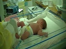 Image result for Newborn Babies First Bath