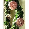 The Four Seasons Hoya Hindu Rope | Carnosa Compacta | Rare Natural Live ...