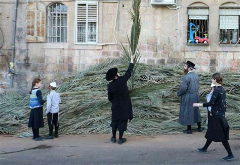 On Sukkot, the Jewish ‘Festival of booths,’ each sukkah is as unique as the person who builds it ...